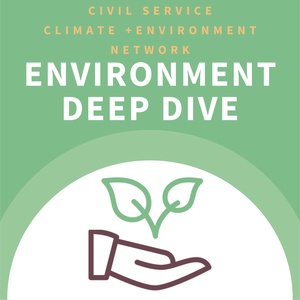 Environmental Protopias with Monika Bielskyte