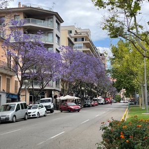 #audiomo day 1: Why Mallorca?