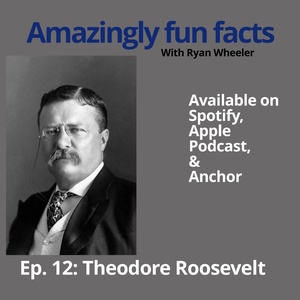 Episode 12 - Theodore Roosevelt