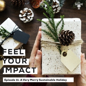 Episode 11 - A Very Merry Sustainable Holiday