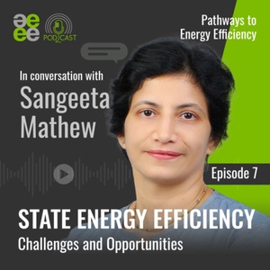 State Energy Efficiency: Challenges and Opportunities