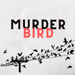 2 - The Murder of Sophie Lancaster