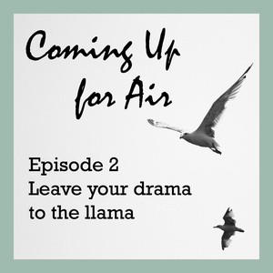 PODCAST #9 Leave Your Drama To The Llama