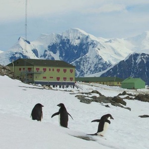 Podcast #34: The Great Antarctic Experiment