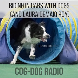 Riding in Cars with Dogs (and Laura Demaio Roy)