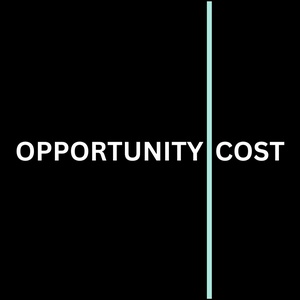 Austin Kreinz: The Entrepreneurial Leap & eCommerce Logistics | Opportunity Cost #5