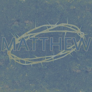 Matthew 14:13-14
