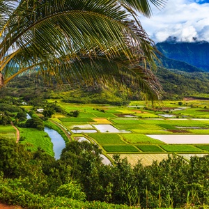 Kauai for Families: Everything You Need to Know About Hawaii's "Garden Isle"