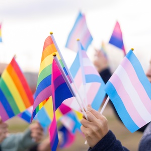 The Australian Workplace Equality Index and Trans inclusion
