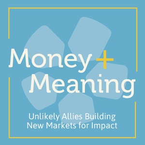 Blended Finance and International Development