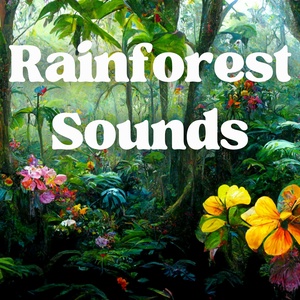 Rainforest Sounds - Relaxing Rainforest Noises and Jungle Sounds to Help you Sleep