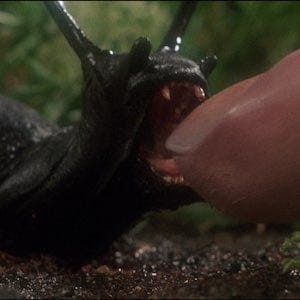 Episode 318: Slugs (1988)