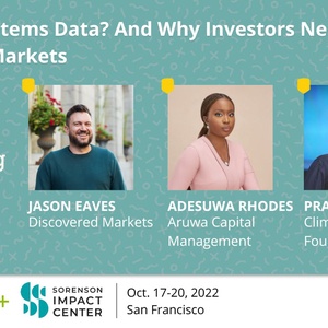 What Is Systems Data? And Why Investors Need It in Emerging Markets