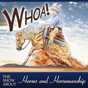 Tom Moates Equestrian Journalist Author Horseman