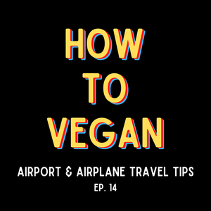 Airport &amp; Airplane Travel Tips | Ep. 14