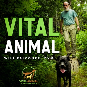 Welcome to Vital Animal Podcast!