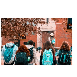 S2 E4 Parkland School Shooting, Dr Michele Finnegan Interview