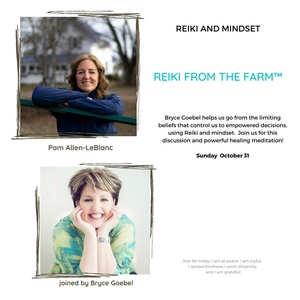 Reiki and Mindset - with Bryce Goebel