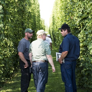 Raise A Glass To Wisconsin Hops