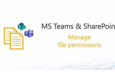 2022 MS-700 Latest Test Guide & New MS-700 Test Testking - Managing Microsoft Teams Top Exam Dumps