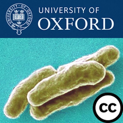 Vaccine Research at Oxford