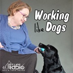 Working Like Dogs - Service Dogs and Working Dogs  - Pets & Animals on Pet Life Radio (PetLifeRadio.com)