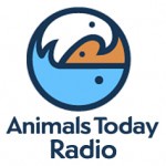 Animals Today Radio