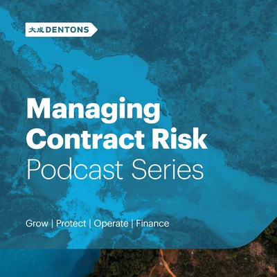 Managing Contract Risk