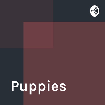 Puppies