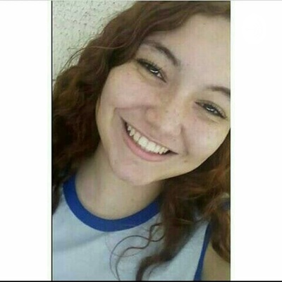 O Emprego Ideal Na Minha Opinião