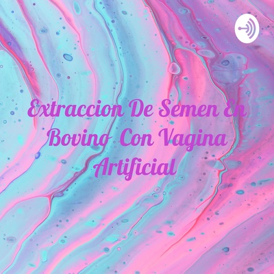 Extraccion De Semen En Bovino Con Vagina Artificial 