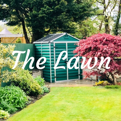 The Lawn