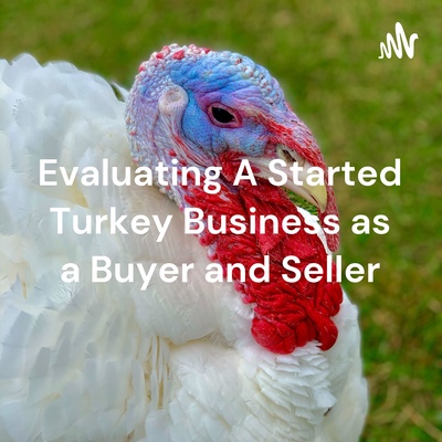 Evaluating A Started Turkey Business as a Buyer and Seller