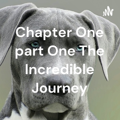 Chapter One part One The Incredible Journey