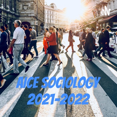 AICE Sociology 2022-2023