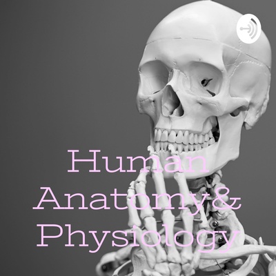 Human Anatomy&Physiology: Marble Bone Disease