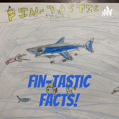 Fin-Tastic Facts!