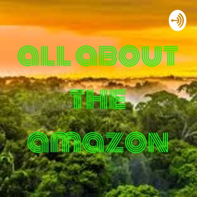all about the amazon