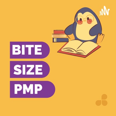 Bite Size PMP
