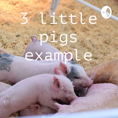 3 little pigs example