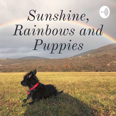 Sunshine, Rainbows and Puppies