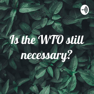  Is the WTO still necessary?
