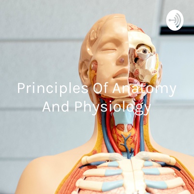 Principles Of Anatomy And Physiology: Introduction To The Human Body