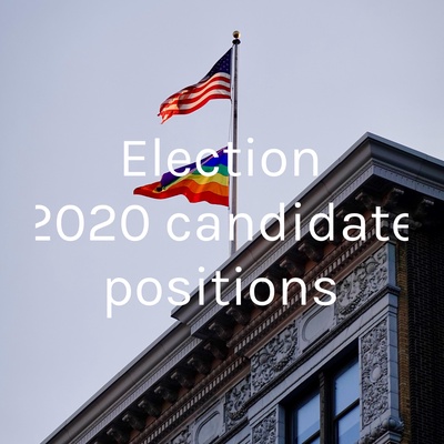 Election 2020 candidate positions