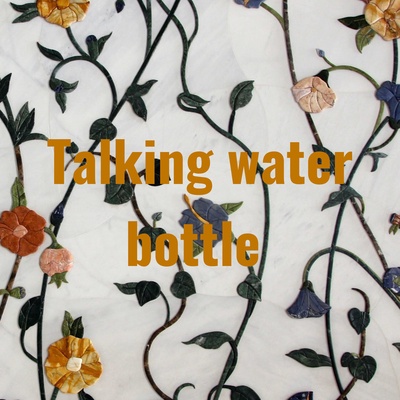 Talking water bottle