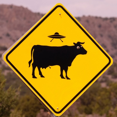 Cow Signs