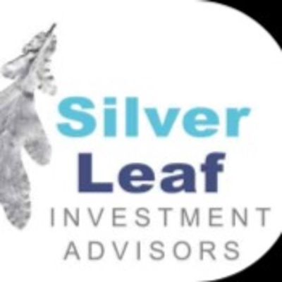 Silver Leaf Investment Advisor Outlook