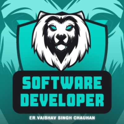 Software Developer