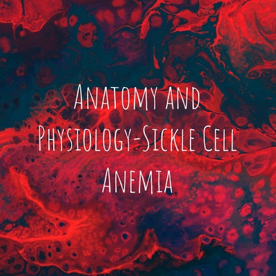 Anatomy and Physiology-Sickle Cell Anemia