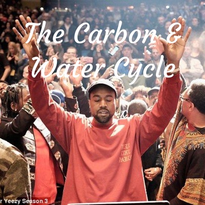 The Carbon & Water Cycle